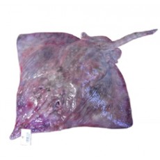 국내산 참홍어 마리 9kg이상