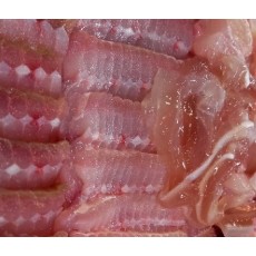 국내산 목포홍어 1.5kg(사은품초고추장,홍어코)